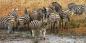 Kruger_and_Around_52087_99KB_041209
