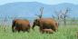 Kwazulu_Natal_52092_98KB_041209