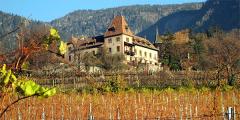 Other places to stay in Italy