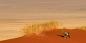 Sossusvlei__South_52298_39KB_081209
