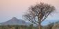Damaraland_52301_100KB_081209