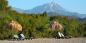 Mediterranean_Coast_52341_98KB_091209