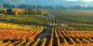 Colchagua Valley Santiago__Central_Valley_52362_99KB_091209