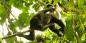 Peten_52446_99KB_091209