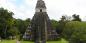 Tikal Peten_52448_99KB_091209
