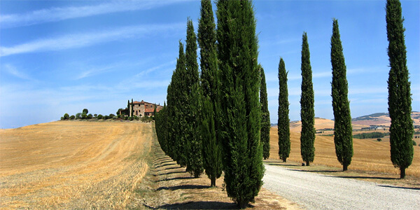 Other places to stay in Italy