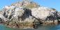 Pacific_Coast_52497_99KB_091209