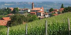 Other places to stay in Italy