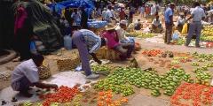 Places to stay in Zanzibar