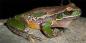 Hunter_Valley_52562_97KB_101209