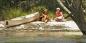 South_NSW_Coast_52596_99KB_101209