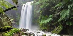 Other places to stay in Victoria Other places to stay in Victoria