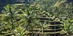 Other places to stay in Bali Other places to stay in Bali