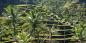 Bali_52691_99KB_111209