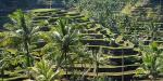 Bali_52691_99KB_111209