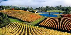 Other places to stay in Victoria Other places to stay in Victoria