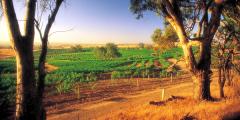 Other places to stay in Western Australia Other places to stay in Western Australia