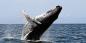Byron_Bay_52765_68KB_141209