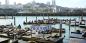 San_Francisco_52849_98KB_141209