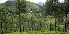 Other places to stay in Kerala