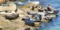 San_Diego_52914_99KB_151209