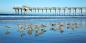 San_Diego_52915_99KB_151209