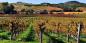 Napa__Sonoma_52945_83KB_151209