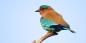Mysore_52948_57KB_151209