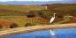 Napa__Sonoma_52952_99KB_151209