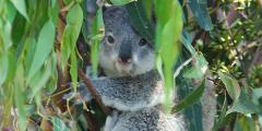 Other places to stay in New South Wales