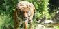 The_Hill_Country_52974_127KB_151209