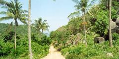 Other places to stay in Thailand Other places to stay in Thailand