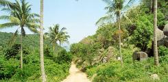 Other places to stay in Thailand Other places to stay in Thailand