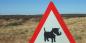 Damaraland_53040_60KB_161209