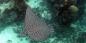 Andaman_Islands_53074_99KB_161209