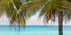 Other places to stay in Maldives Other places to stay in Maldives