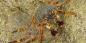 The_Atolls_53082_99KB_161209