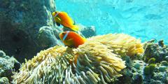 Other places to stay in Maldives Other places to stay in Maldives