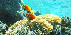 Other places to stay in Maldives Other places to stay in Maldives