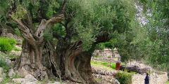 Other places to stay in Ionian Islands Other places to stay in Ionian Islands