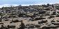 Swakopmund__Coast_53215_98KB_181209