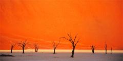 Other places to stay in Namibia Other places to stay in Namibia