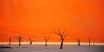 , Trek through the lunar sand dunes of Namibia
