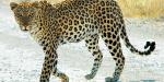 Namibia_53241_99KB_181209