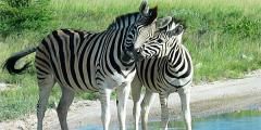 Other places to stay in Namibia Other places to stay in Namibia