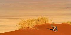Other places to stay in Namibia Other places to stay in Namibia