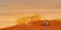 Namibia_53247_96KB_181209