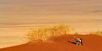 Namibia_53247_96KB_181209