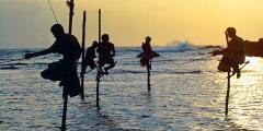 Other places to stay in Sri Lanka