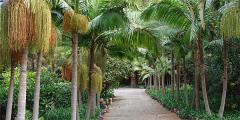 Other places to stay in Canary Islands Other places to stay in Canary Islands